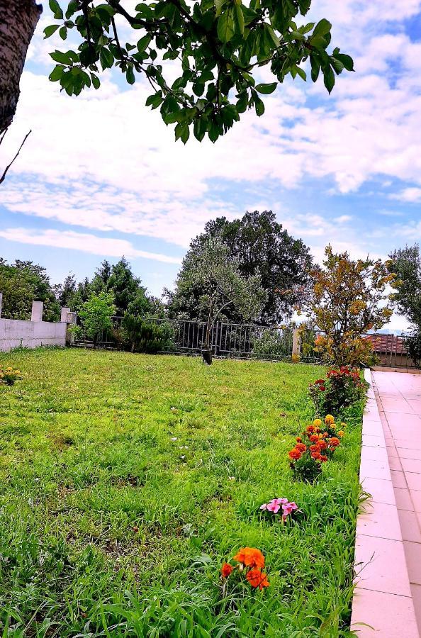 Villa Markic 德尔韦尼克 外观 照片