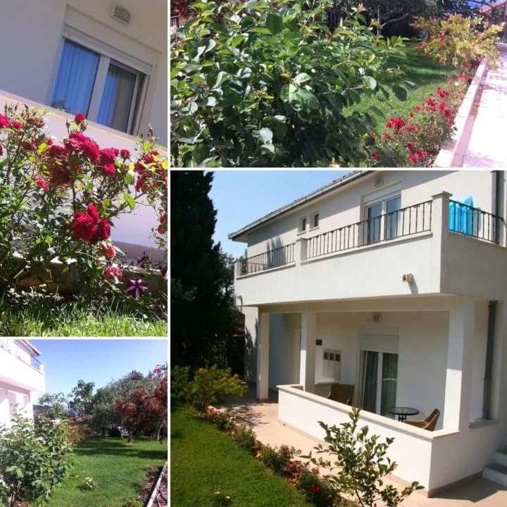 Villa Markic 德尔韦尼克 外观 照片